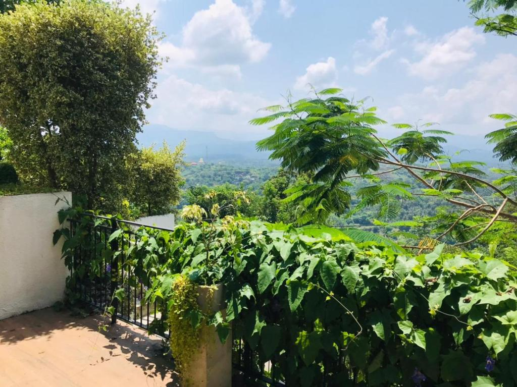 The view over the trees towards the mountains from a Superior Double Room balcony
