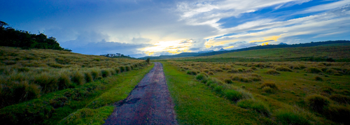 A trail across the grasslands of Horton Plains