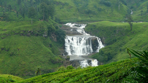 The tiered cascades of St Clair’s Falls beyond a tea field