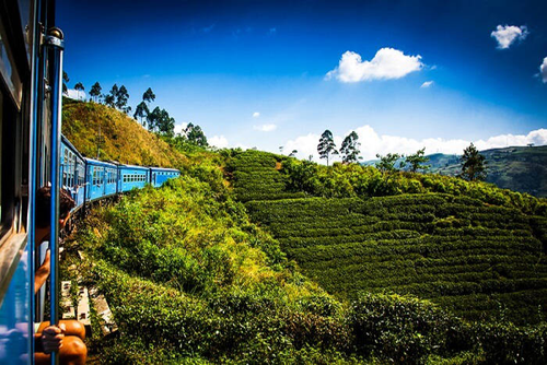 A blue train curving through the tea-covered hills