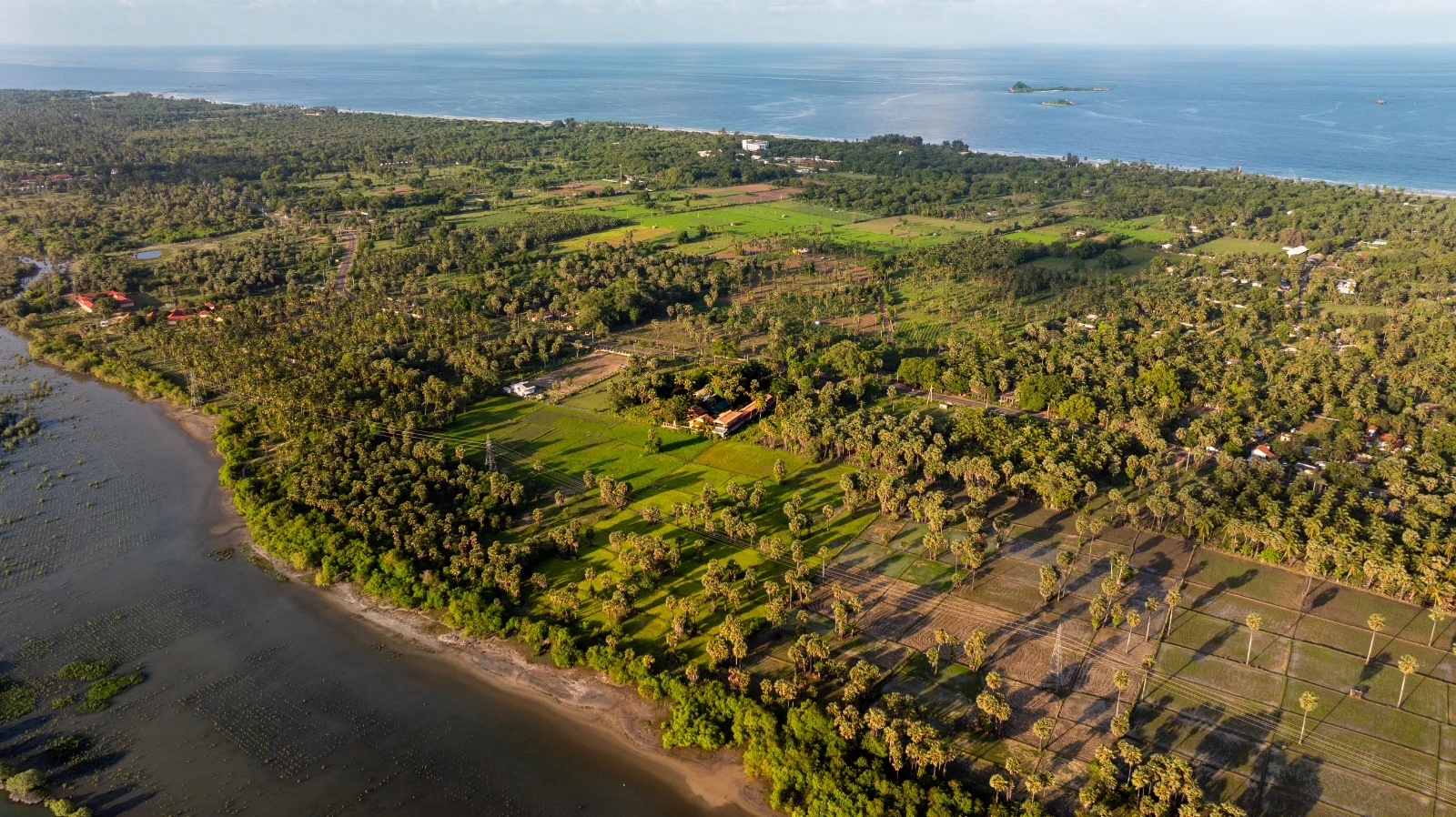 The Nilaveli coast from the air — palms and paddy fields between the lagoon and the sea