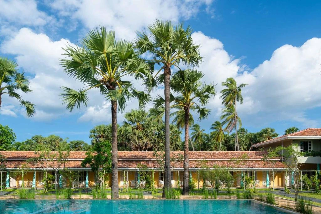 The guest rooms at Palmera Eco Resort beyond the pool and the palms
