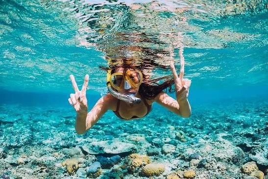 A snorkeller underwater above a rocky seabed