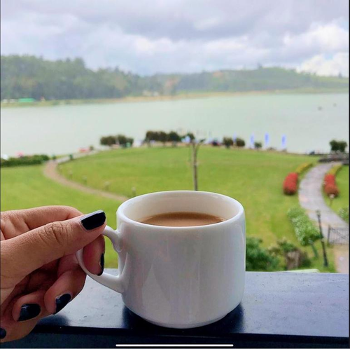 A cup of tea held over the lawns and Gregory Lake