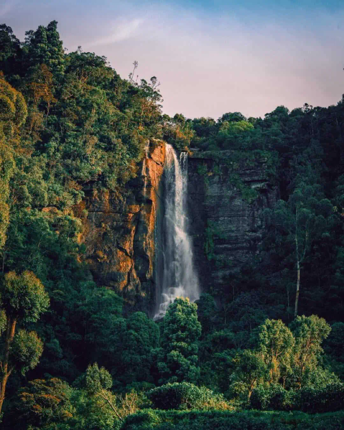 Lover’s Leap Waterfall dropping down a forested cliff