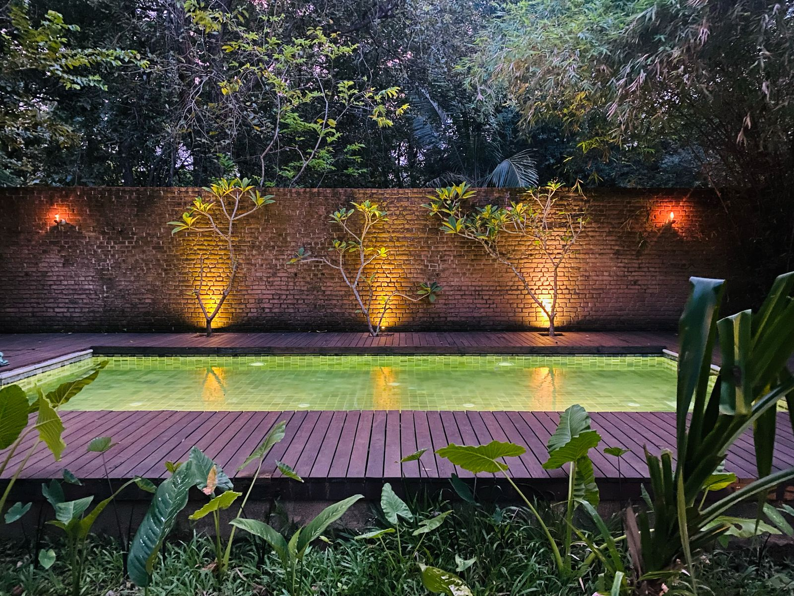 The pool at dusk against its brick wall, frangipani trees lit from below