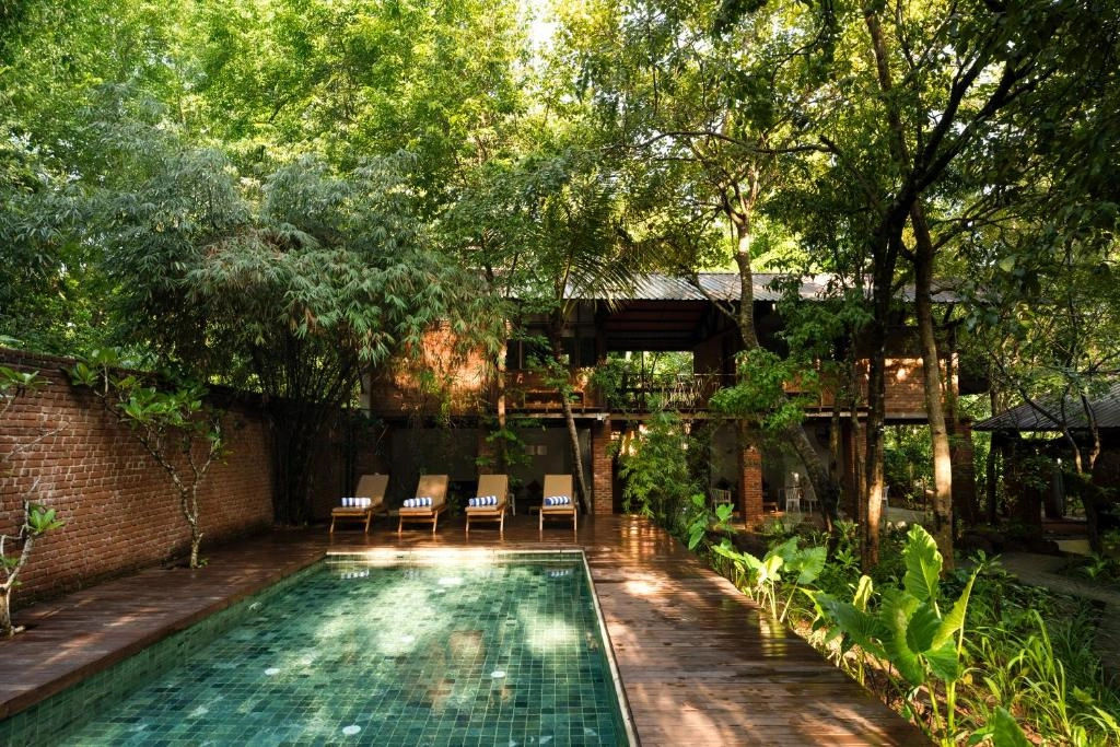 The pool at Varanya surrounded by trees