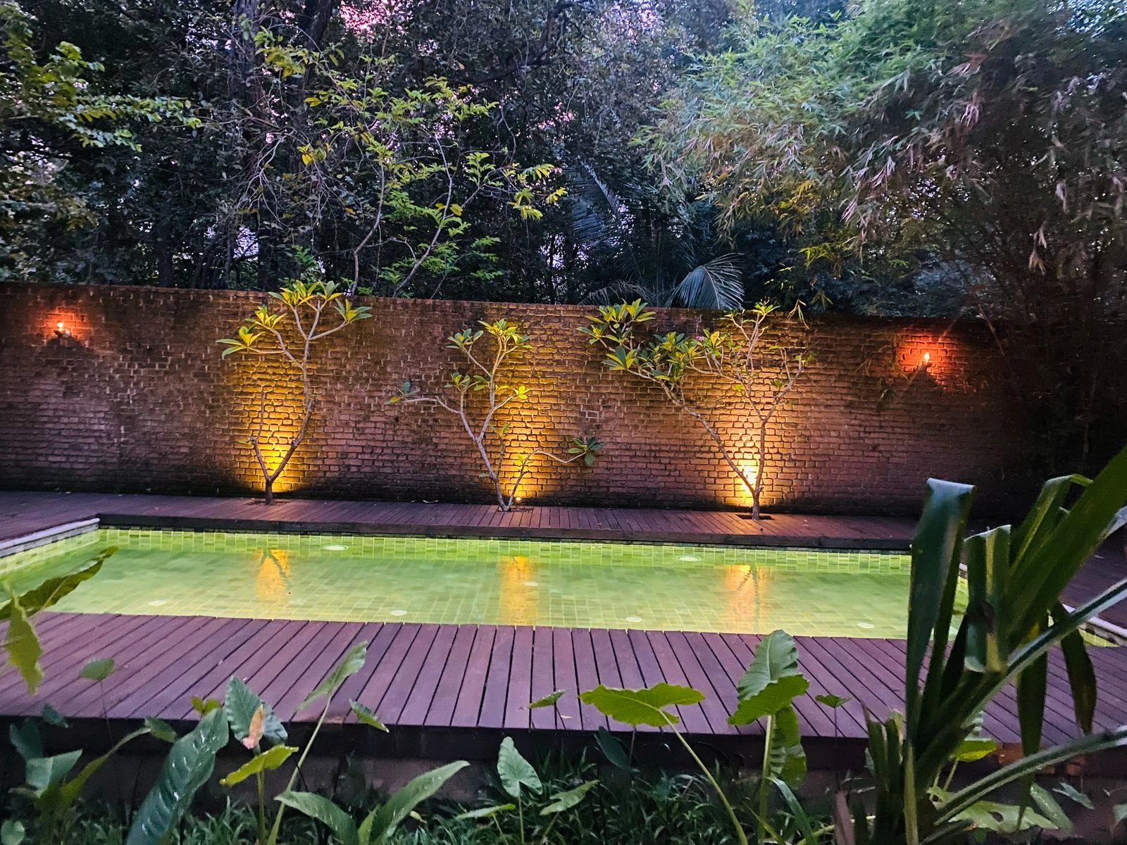 The pool at Varanya against its uplit brick wall